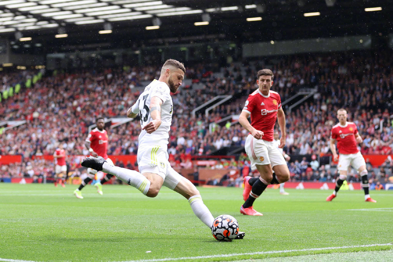 整体水平的 整体水平的