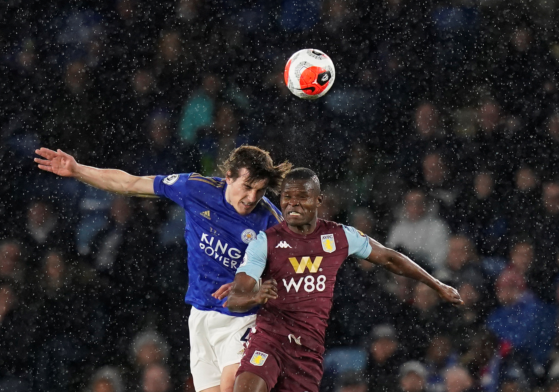 向可能不仅 向可能不仅